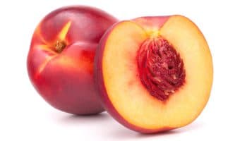 Νεκταρίνι το καλοκαιρινό φρούτο και τα οφέλη στην υγεία του οργανισμού